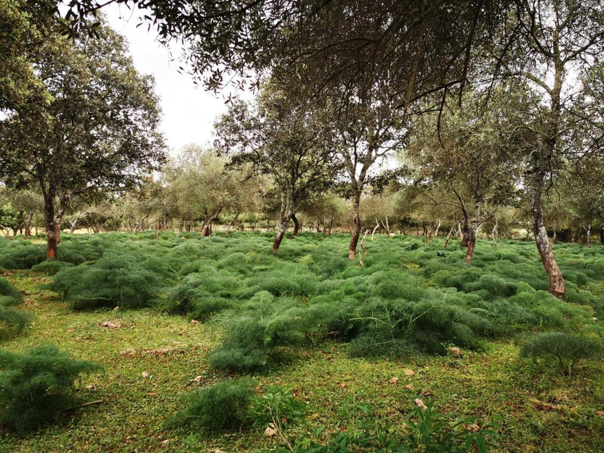 Villa La Fuensanta Hornachuelos Esterno foto