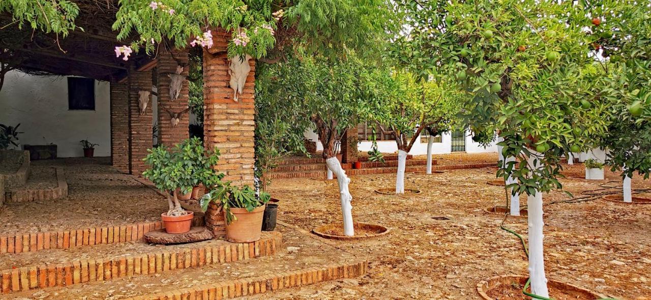Villa La Fuensanta Hornachuelos Esterno foto