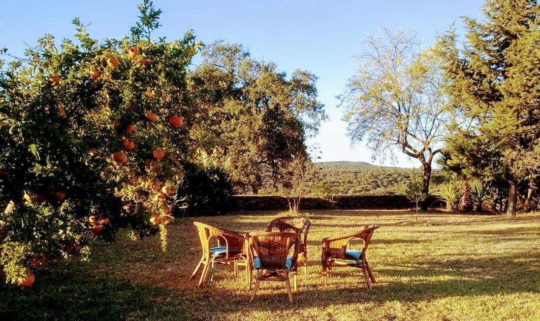 Villa La Fuensanta Hornachuelos Esterno foto