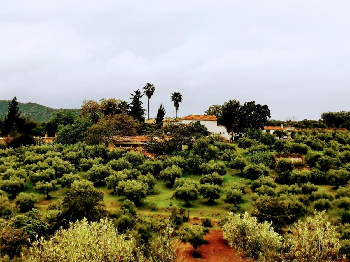 Villa La Fuensanta Hornachuelos Esterno foto